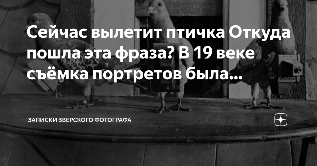 Наше вам с кисточкой откуда пошла фраза
