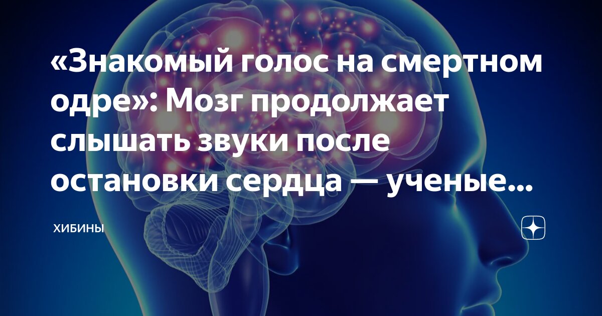 спящее лицо. вздрагиваю при засыпании. спать. синдром центрального апноэ. синдром центрального апноэ сна.
