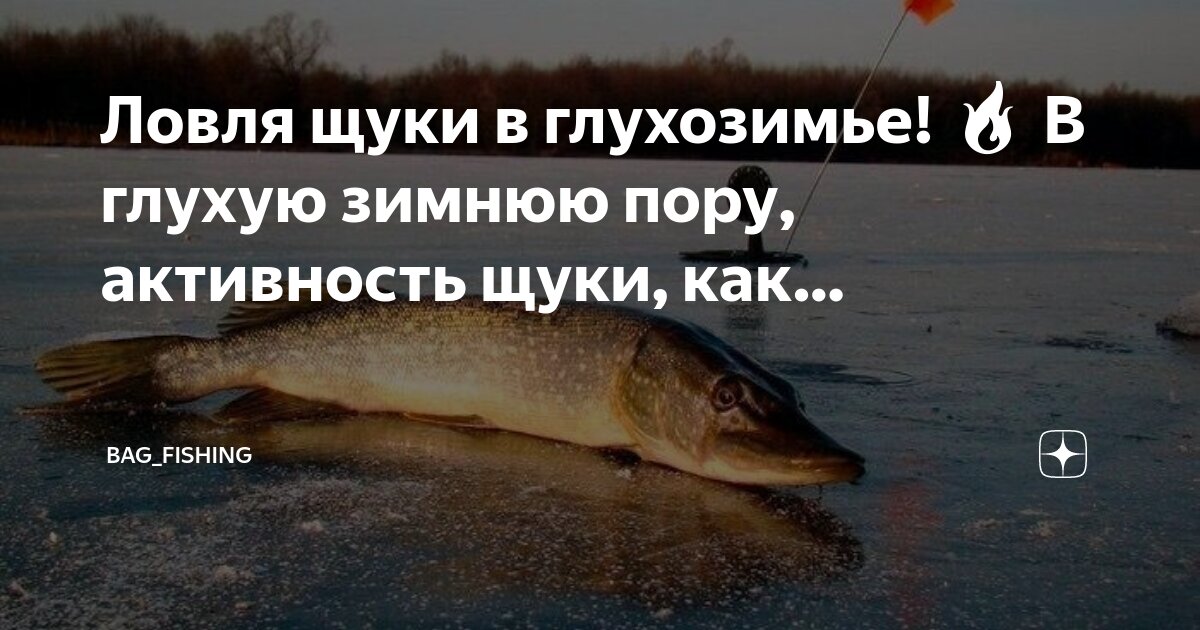 приманки на щуку осенью на спиннинг. блесна черноспинка чертеж.