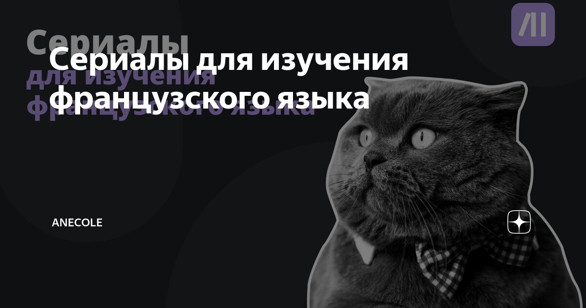 Уровни французского языка а1 а2 в1 в2 с1 с2. Определение уровня французского языка. Выучить французский. Определение уровня французского языка. Степени знания французского языка.