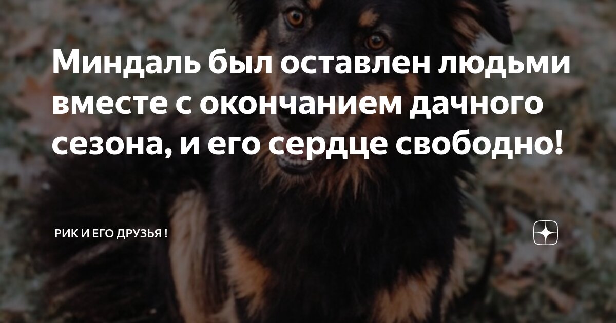 в нашей школе становится тише. на трибунах становится тише. парень и девушка разлука. текст песни через годы через расстояния. расстаются друзья остается в сердце нежность.