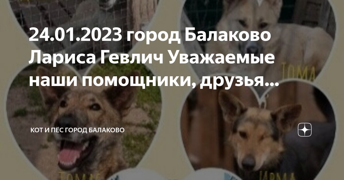 Лучшие ассистенты 2023