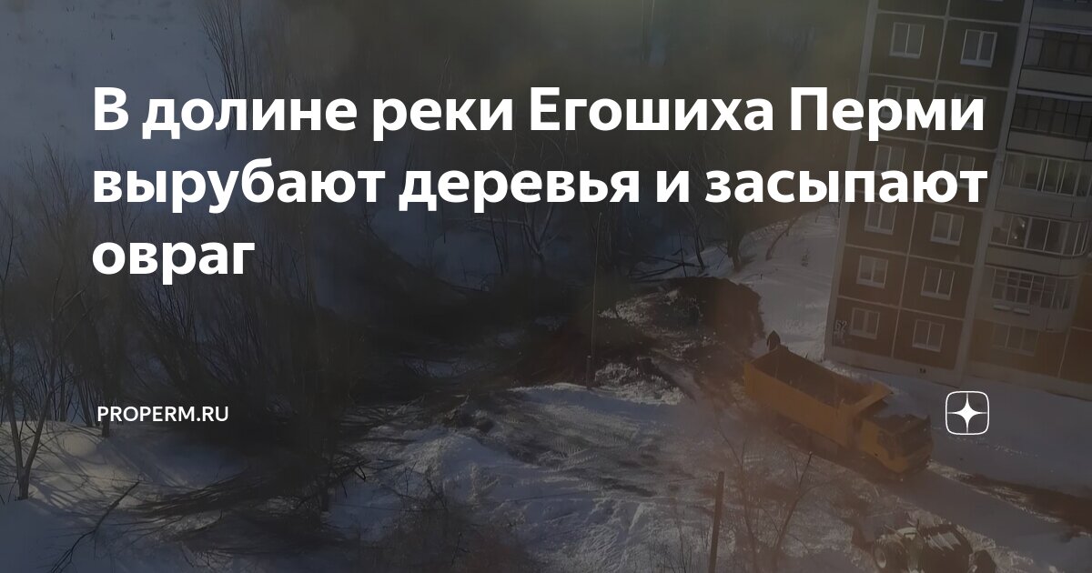 Вырубка леса на байкале. Вырубка деревьев на склонах. Вырубка деревьев на склонах рек. Парк северный лес воронеж. Вырубки деревьев.