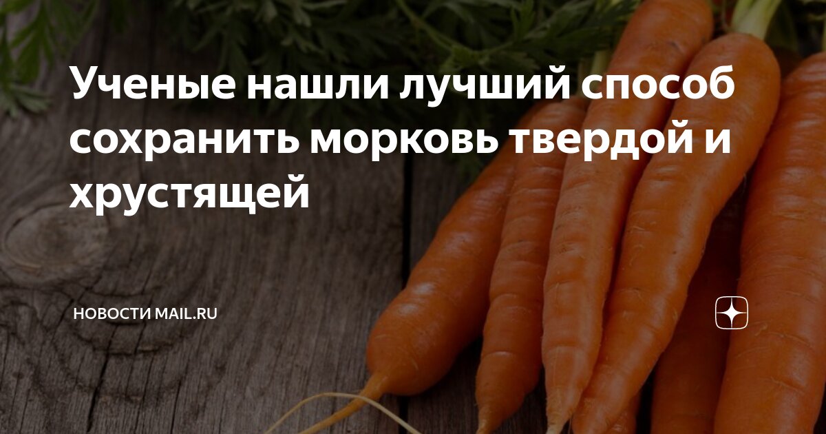 Морковь болеро f1. Лучший грунт для моркови. Семена сибири морковь. Лучший грунт для моркови. Морковь семена лучшие сорта для открытого грунта сибирь.