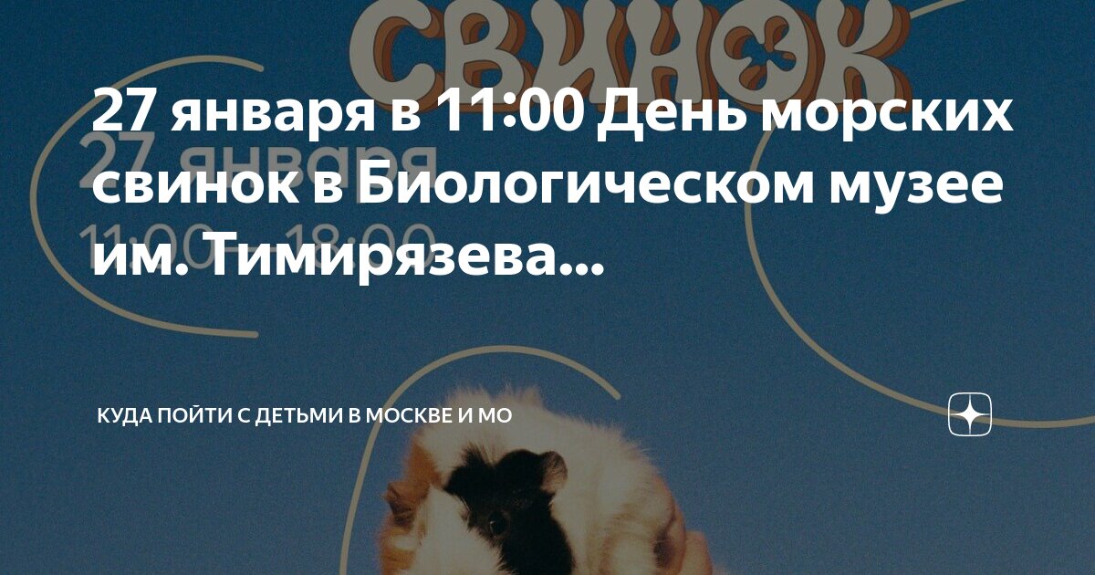 Куда сходить 11 января