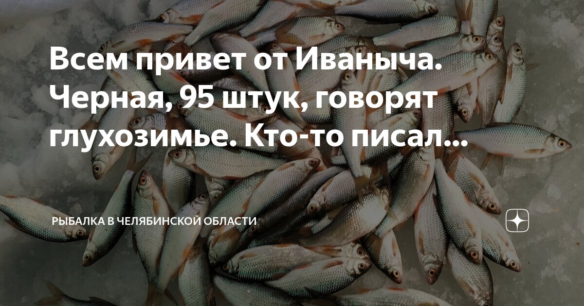 Рыбалка в челябинской области 2024 год