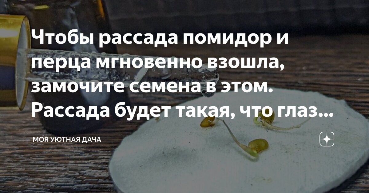 Не поверить глазам