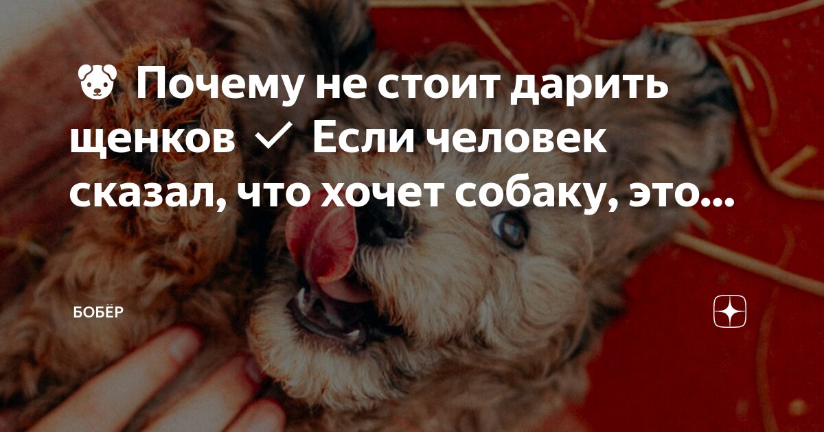 хотеть касаться станиславский. если мужчина не звонит значит не хочет. что означает хотеть человека. фон для фразы. если человек не звонит цитаты.