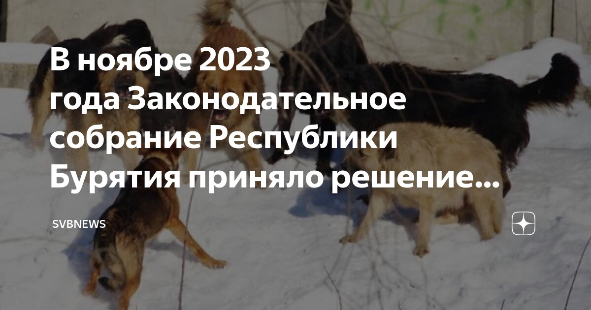 Закон о намордниках для собак 2023