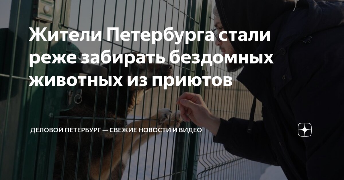 Владелец приюта для животных. Владелец приюта для животных