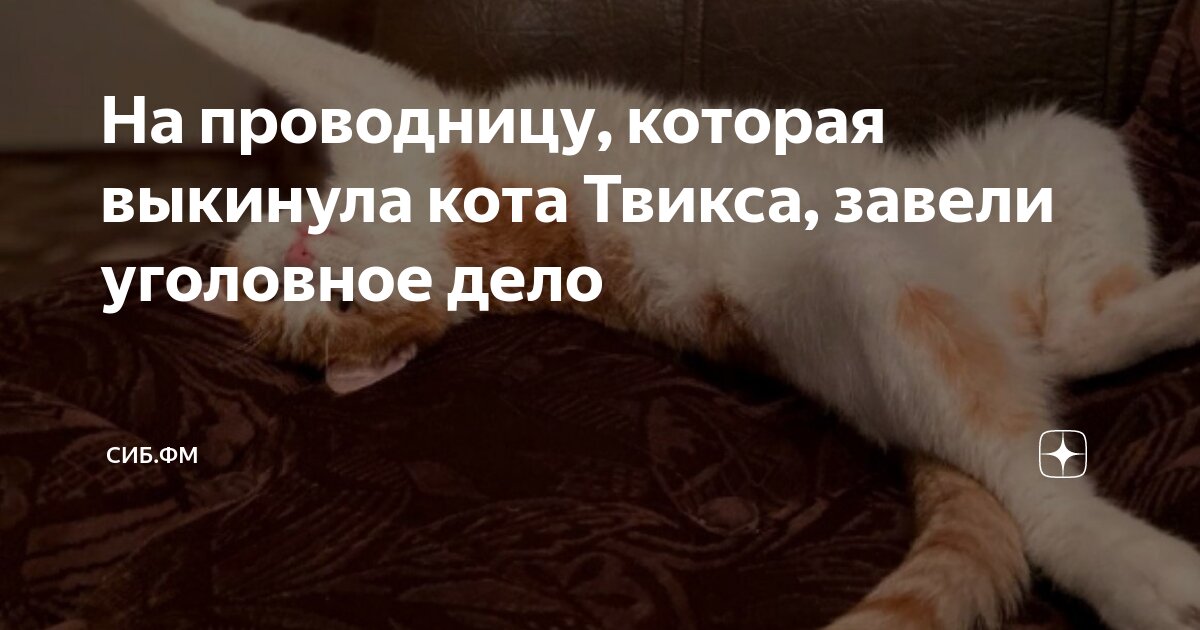 год по гороскопу по годам. характер людей рожденных в год кролика. животные китайского календаря. сейчас год какого кота. китайский календарь по годам животных таблица по месяцам.