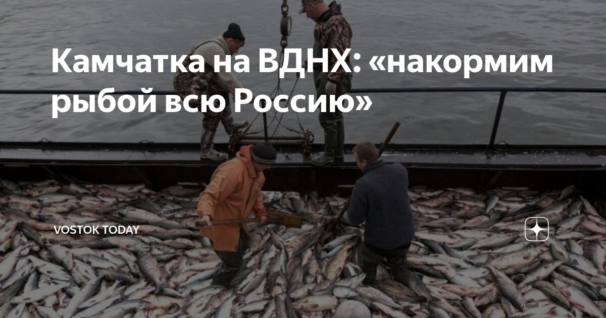 Ярмарка камчатской рыбы. Где проходит ярмарка рыба камчатки. Ярмарка камчатской рыбы. Где проходит ярмарка рыба камчатки. Ярмарка камчатской рыбы в набережных челнах.