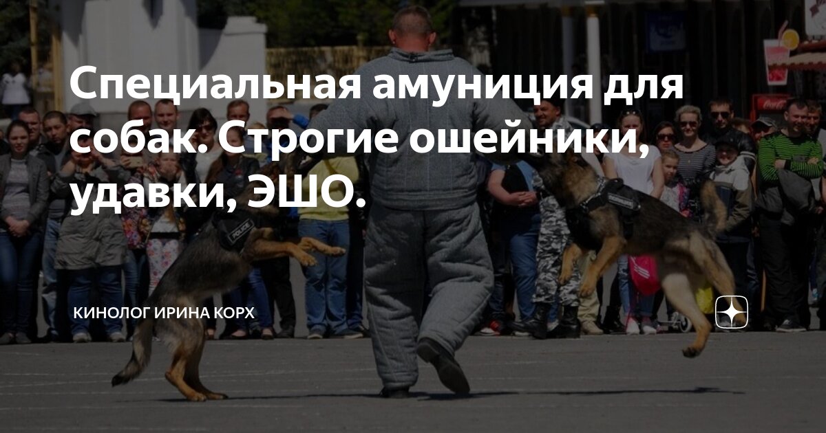 Специальная амуниция для собак. Строгие ошейники, удавки, ЭШО ...