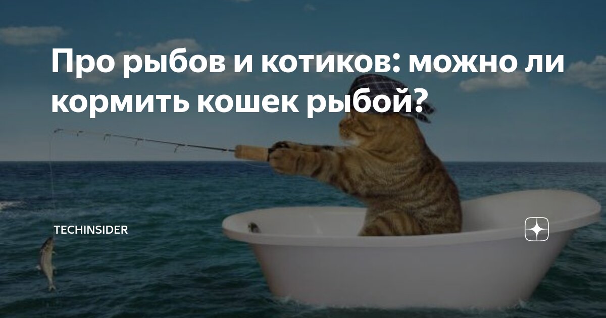 Собака ест рыбу. Натуральное питание для собак с рыбой. Можно ли дать щенку рыбу. Какую рыбу можно есть собаке. Можно ли дать щенку рыбу.