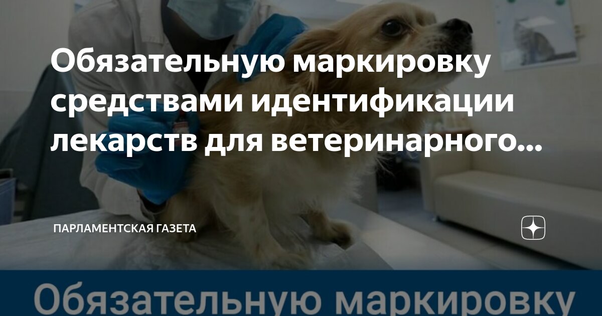 Перечислить методы идентификации. Нарушение средств идентификации. Перечислить методы идентификации. Меры профилактики и борьбы с фальсифицированной продукцией. Методы идентификации продукции.