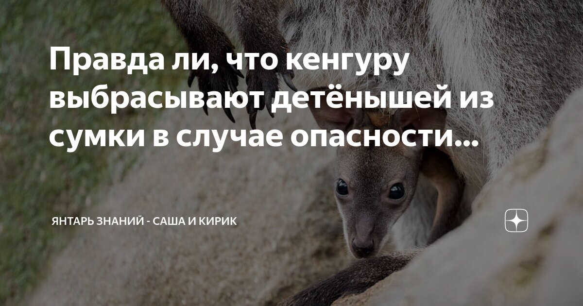 обладаете ли вы знаниями необеспеченных сделках ответ