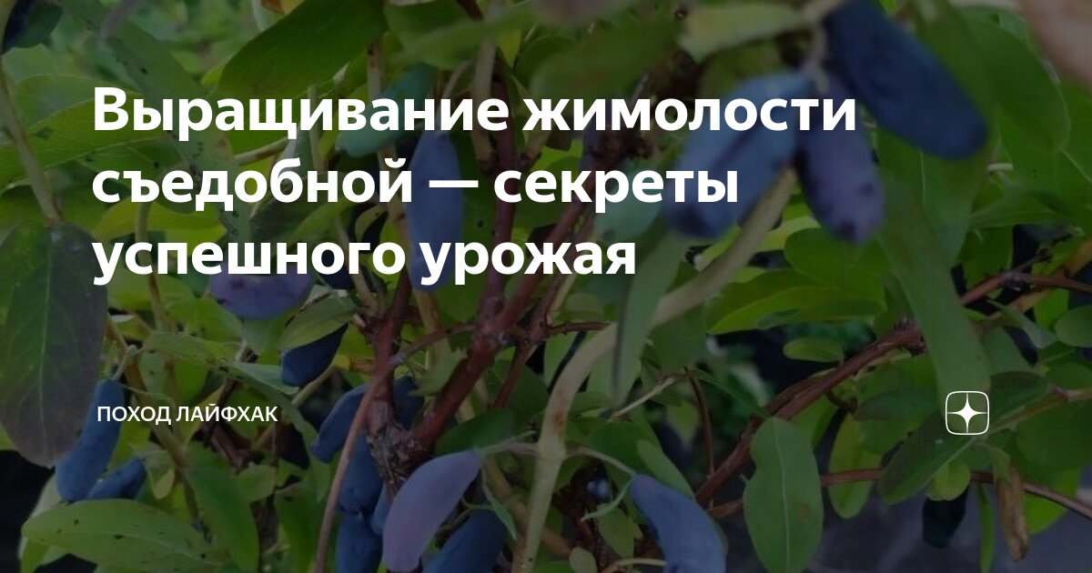 Выбор места для посадки