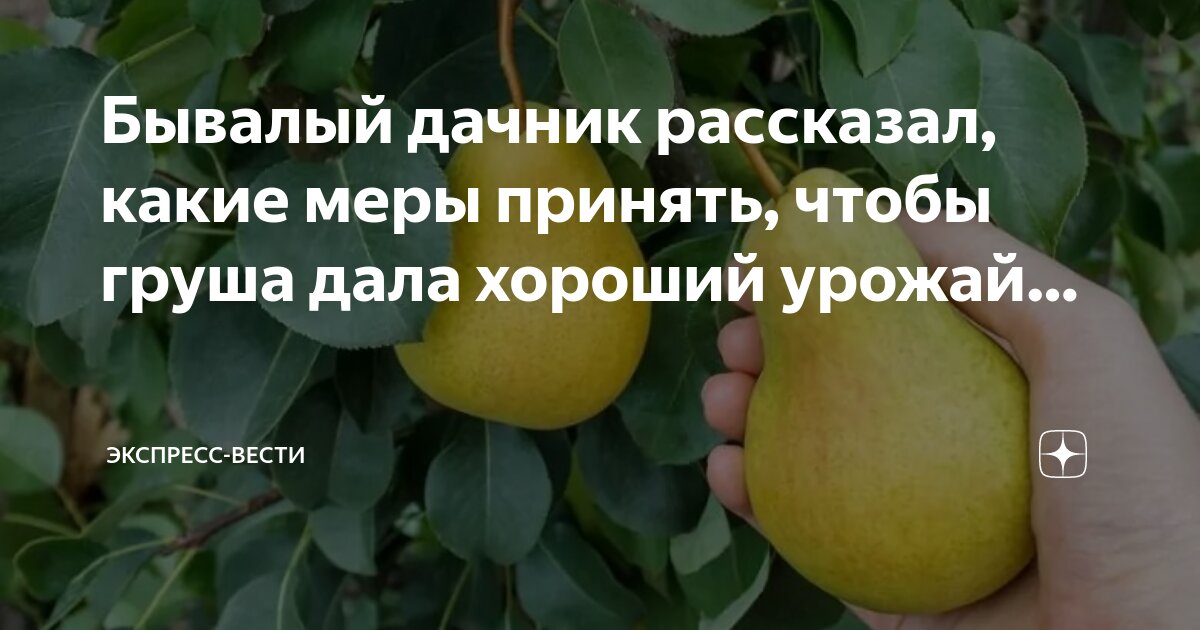 с какой целью автор так подробно рассказывает. история повествования. некрасов дедушка. цель окраски травы. с какой целью автор так подробно рассказывает.
