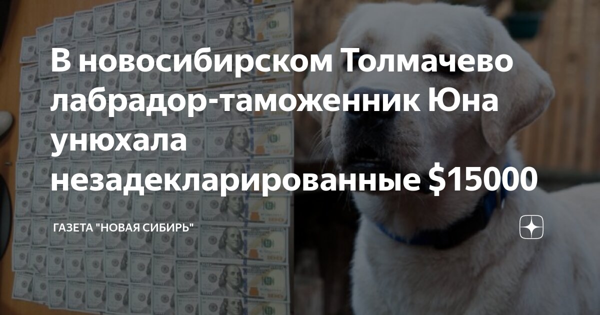 шантаж статья уголовного кодекса. нахождение денег на улице. найти крупную сумму денег на улице. 4 ук рф. статья.