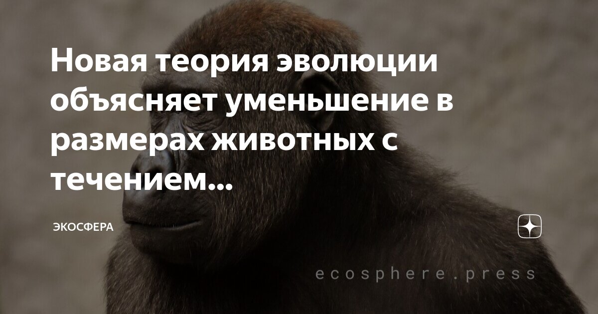 Начало и окончание течения сроков. Лицо в течение нового срока. Блефаропластика до и после. Лицо в течение нового срока. До и после ботокса лица.