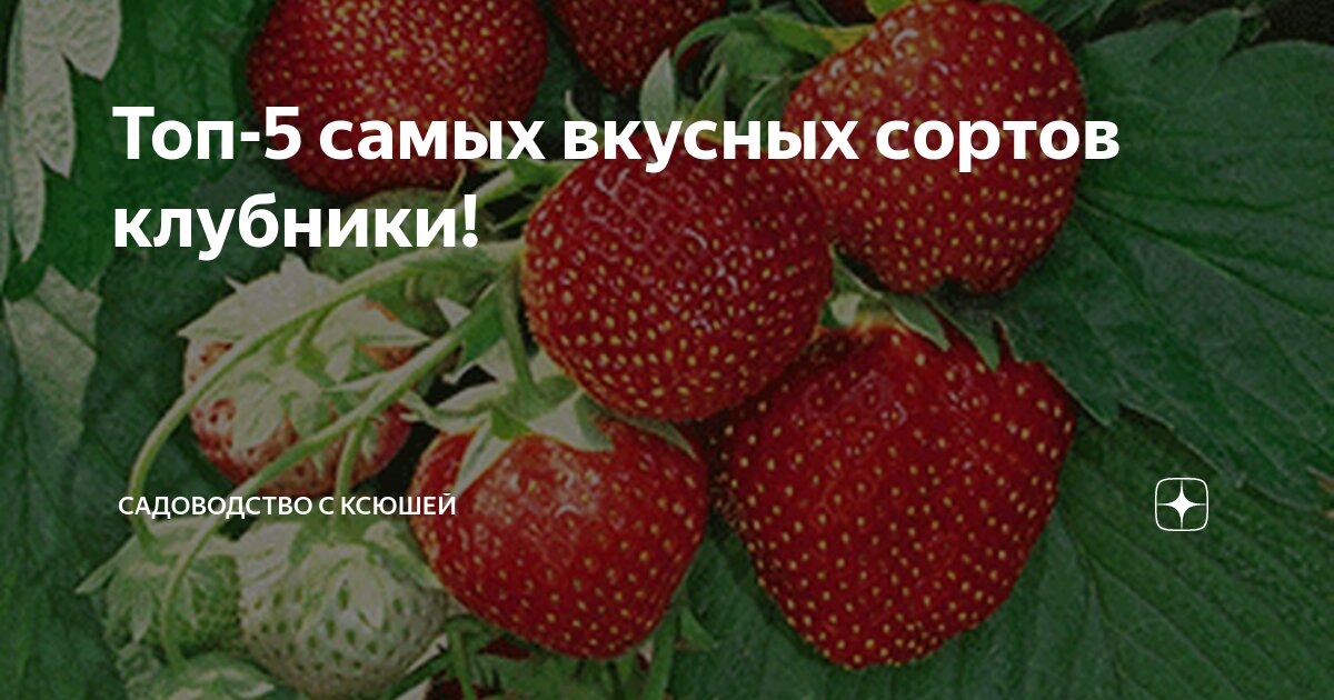 Самые вкусные земляника