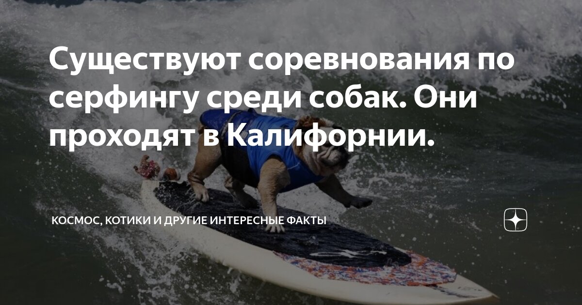 Прочий среди равных. Лучший среди равных. Равный среди равных. Презентация на тему равный среди равных. Первый среди равных книга.