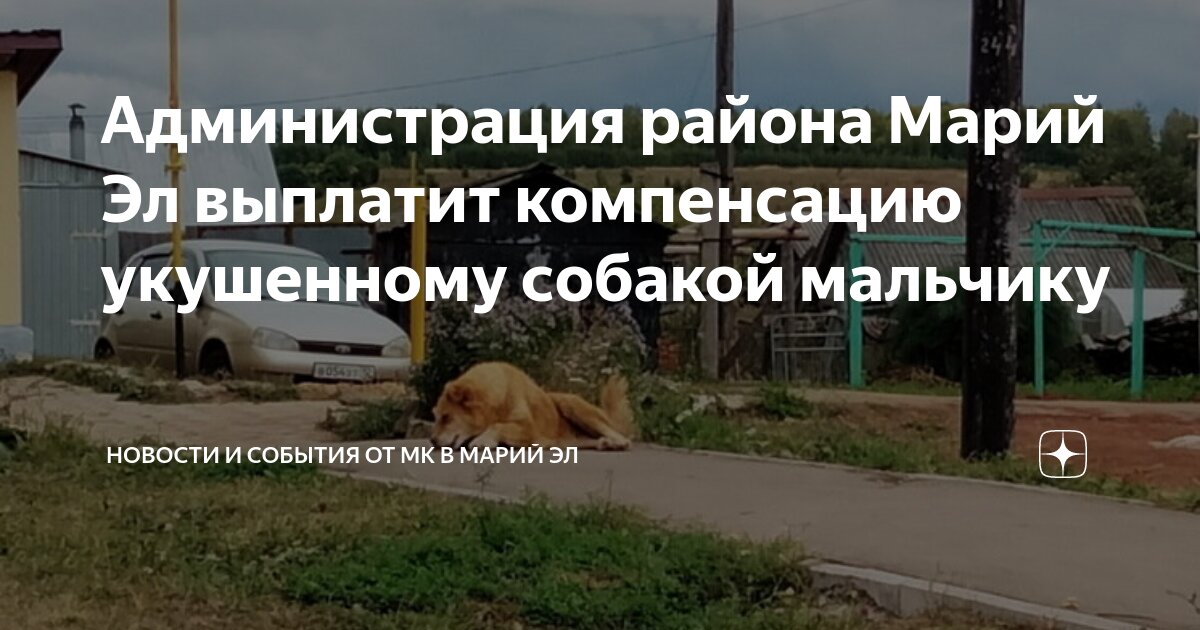 Не подлежит возмещению вред, причиненный. В мире животных надпись. Возмещение ущерба животным. В мире животных надпись. Порядок возмещения морального вреда.