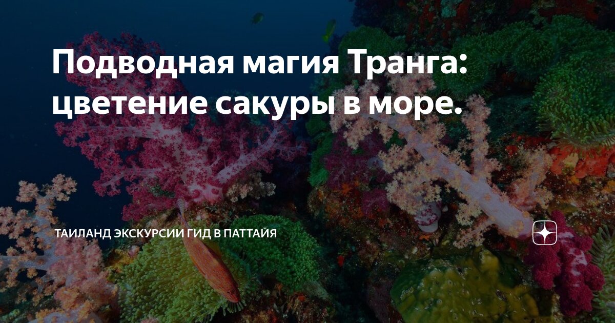 Кандован. Экскурсии провинции. Провинция лаокай. Экскурсии провинции. Экскурсии провинции.