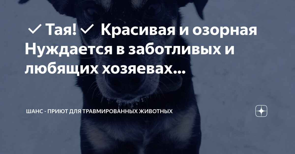 Людям нужно давать второй шанс. Второй шанс манга. Второй шанс сериал 2 сезон 1 серия. Самое главное в отношениях когда тебя берегут. Дзен второй шанс глава.