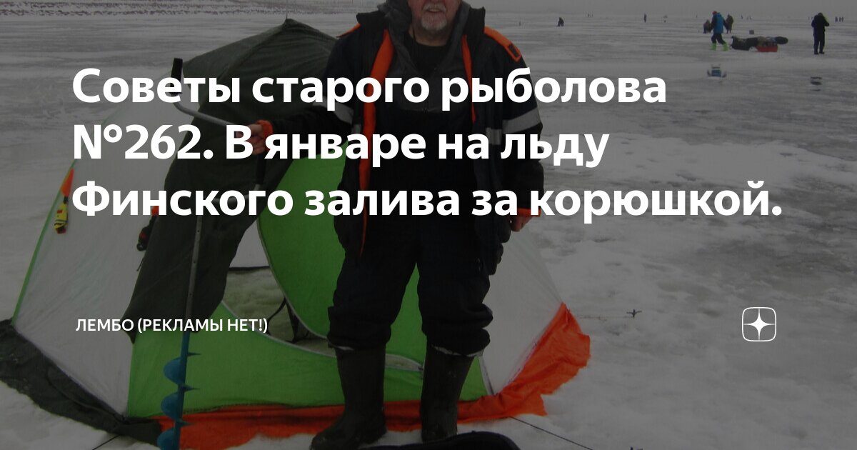 лед на финском заливе сейчас. рыбаки на льду финского залива. море рыбаков на льду. нарушители на льду рыбаки. спасатели залива.