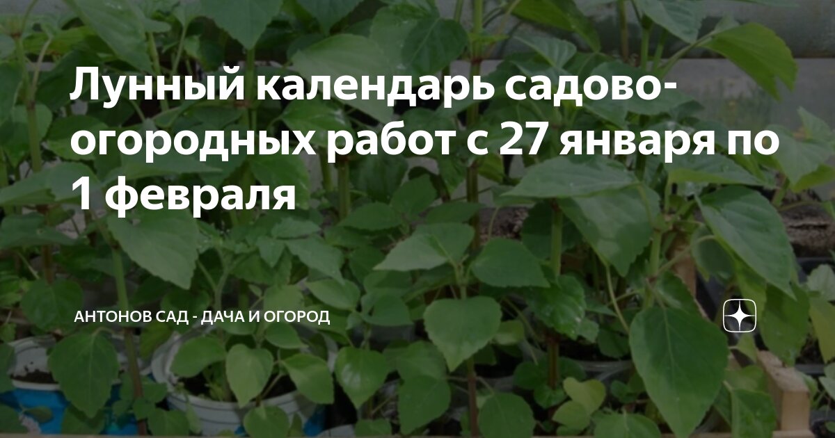 Огородный календарь на 2022. Календарь работ в саду и огороде. Таблица работ в саду на год. Октябрина ганичкина календарь. Календарь работ в огороде.