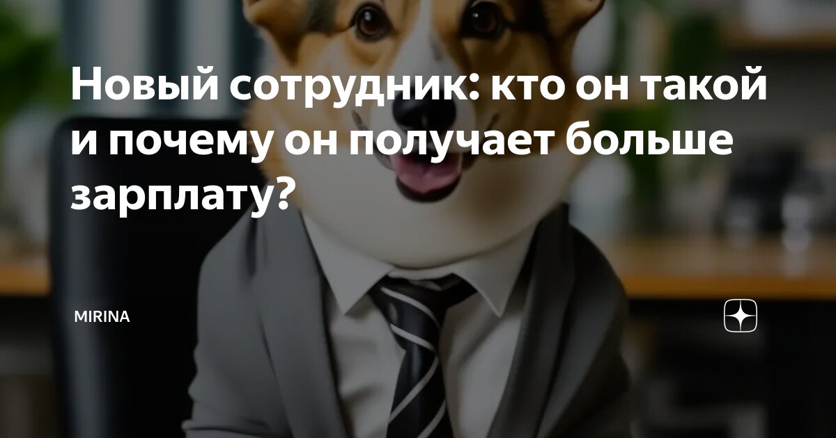 Новый сотрудник: кто он такой и почему он получает больше зарплату? |  Mirina | Дзен