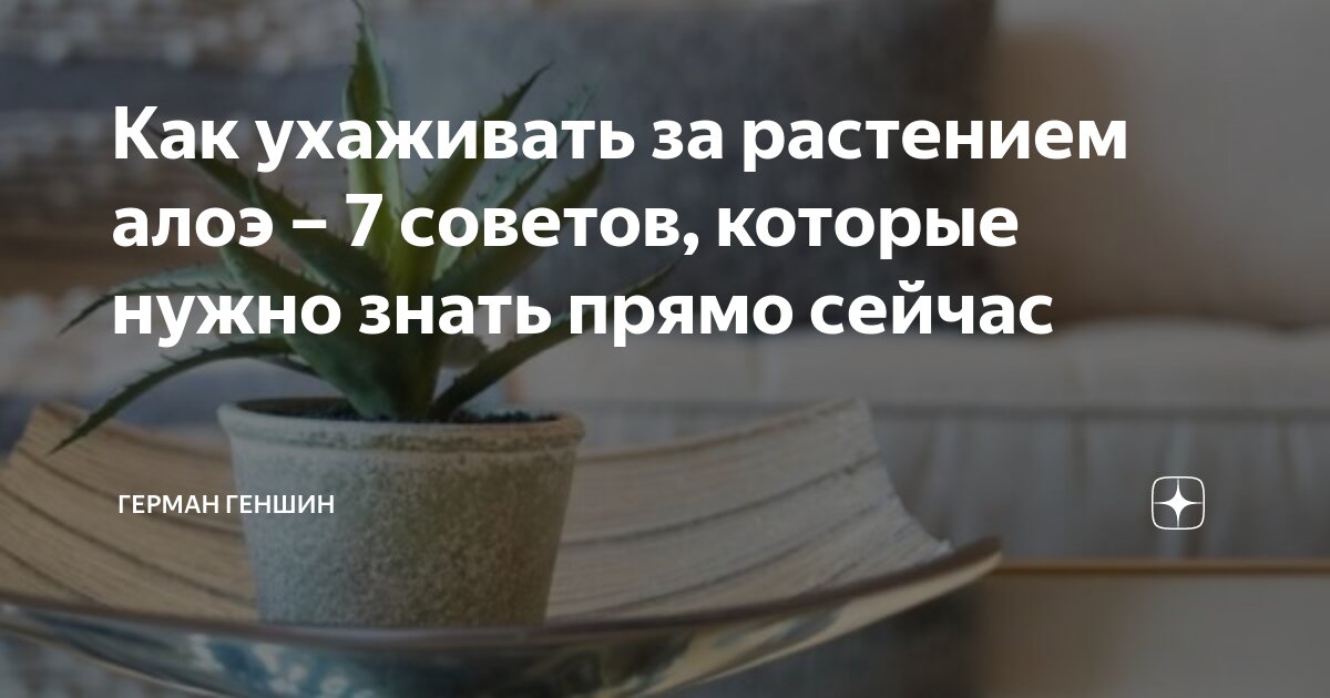 семья в домике. для дома нужно знать. недвижимость. постройки по феншуй на участке. руки домиком.