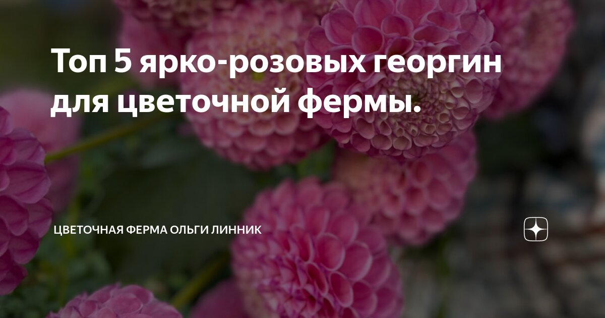 Разновидности социальных норм с примерами. Приведите примеры информации. Ацильные группы примеры. Моральные правила примеры. Примеры системного программного обеспечения информатика.