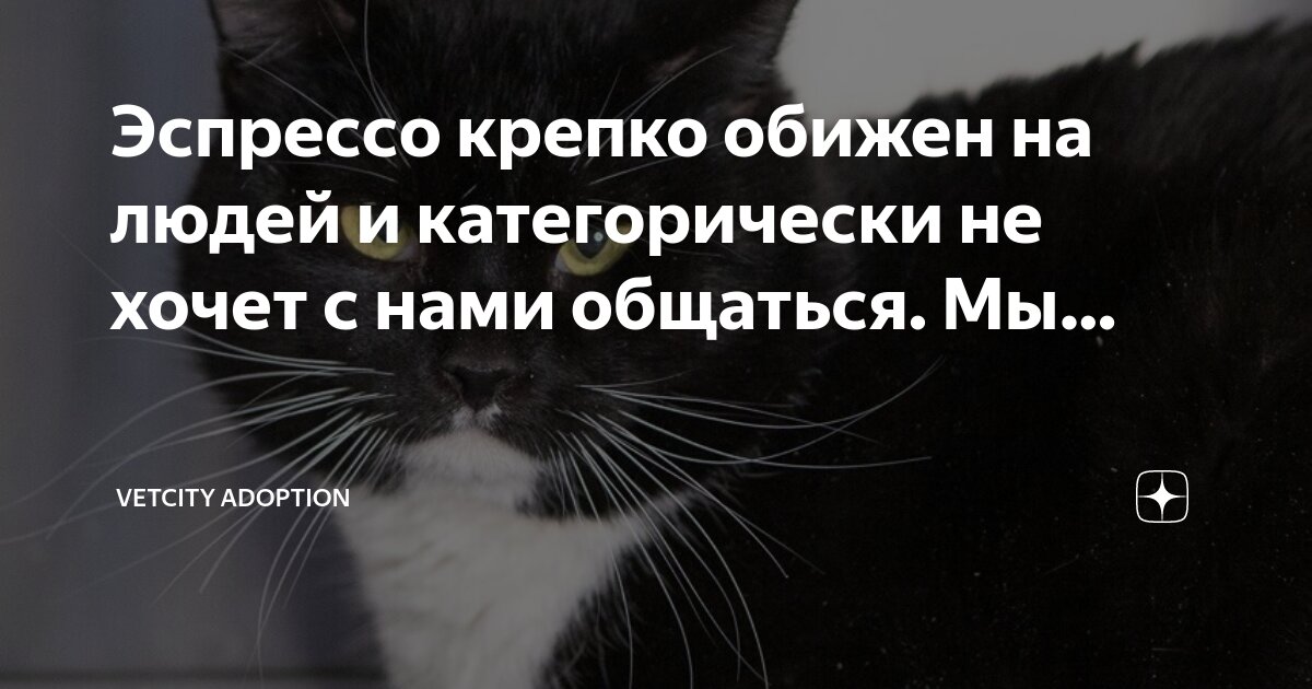 Сложно обидеть