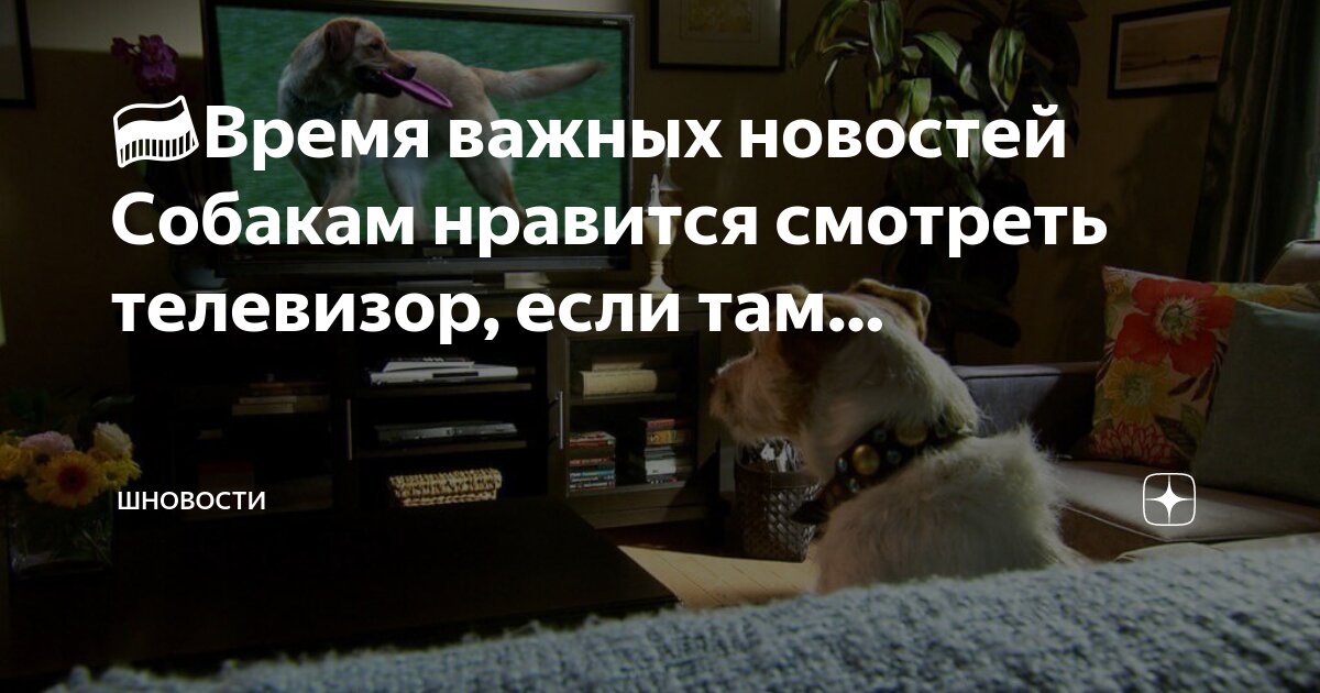 Эксперимент в психологии. Замедление времени. Этапы педагогического эксперимента. Получение уксусчной кислот. Ход времени эксперимент.