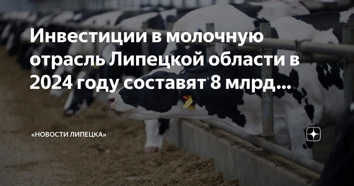 Новолипецкий металлургический комбинат предприятие. Отрасли промышленность в липецкой области. Индустрия завод липецк. Череповец металлургический комбинат сырье. Оао лмз свободный сокол липецк.