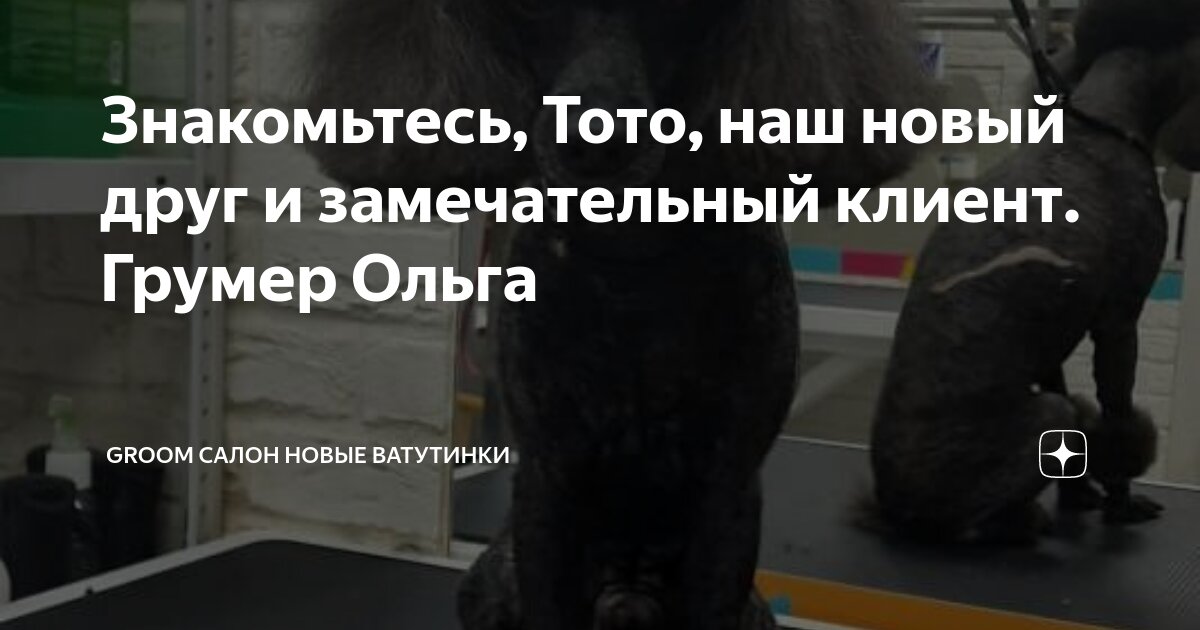 экспресс парикмахерская. магазин северный гомель. назрань бассейн тото.