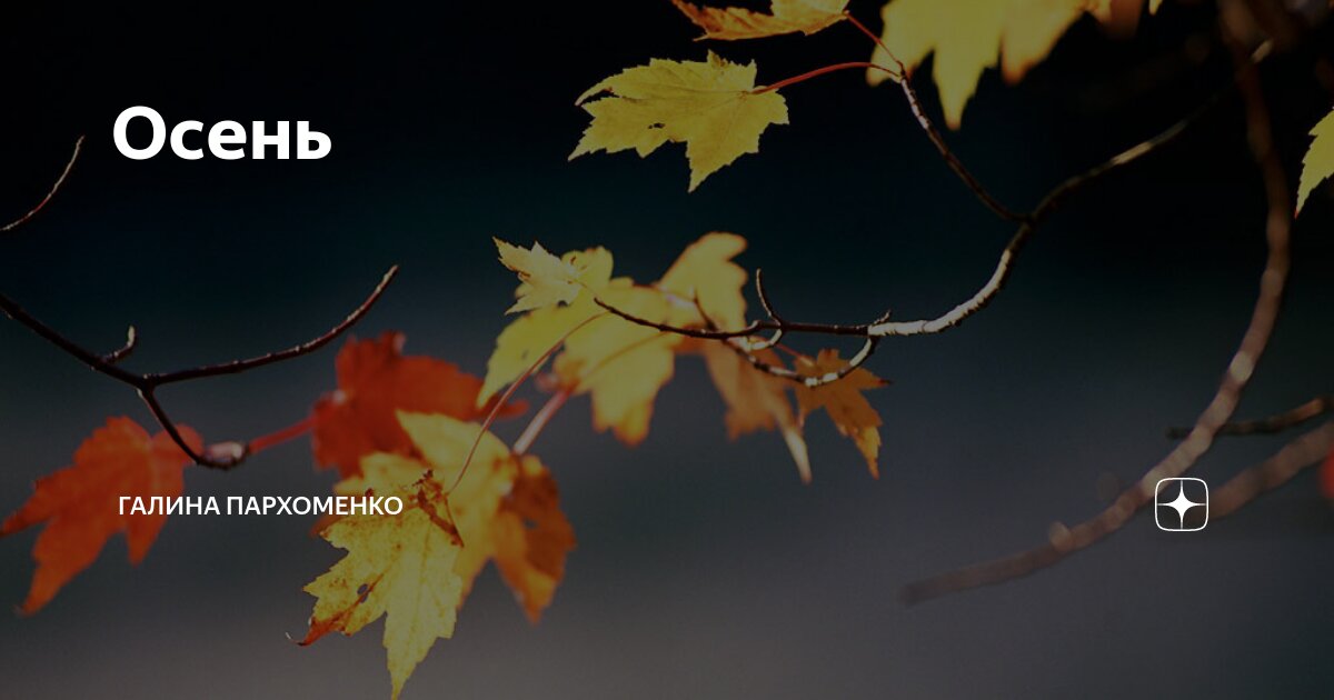 мальчик радость осень.