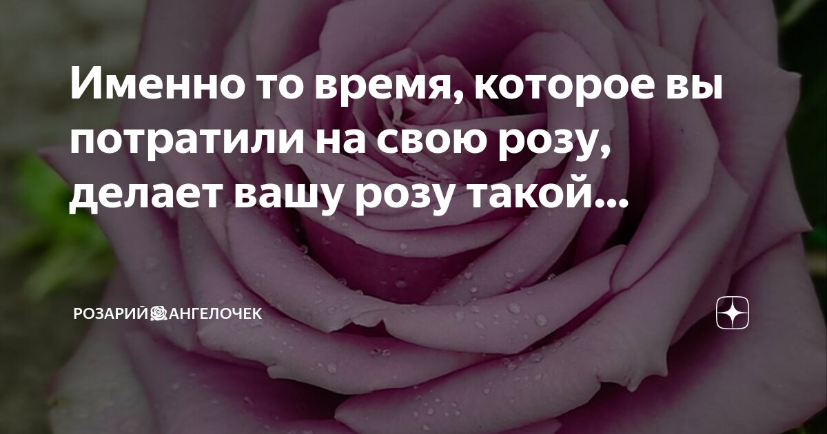 Не важно какую именно. Не важно какую именно
