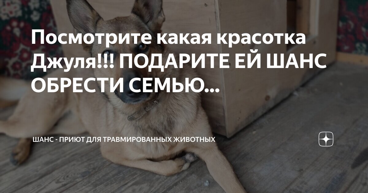 Якуты эвенки. Чукчи дети. (ненцы, ханты, манси, селькупы. Животное которое дарили новорожденному в семье эвенов. Долганы эвены эвенки якуты.