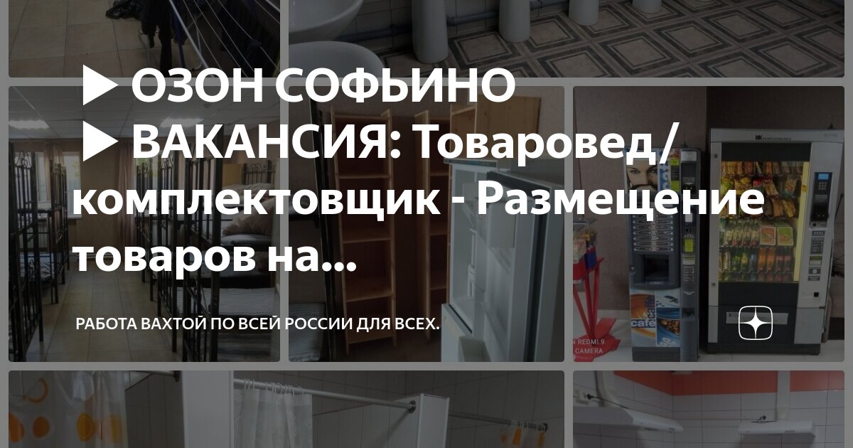 Софьино московская область озон