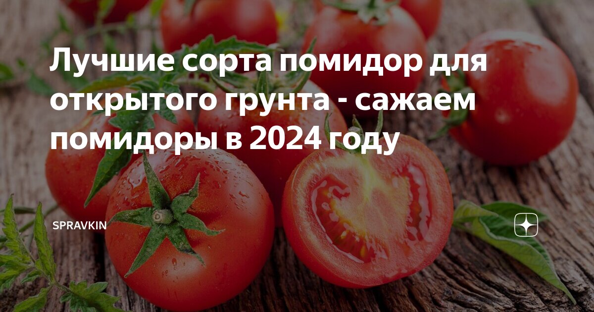 Лучший грунт для помидор. Лучший грунт для помидор