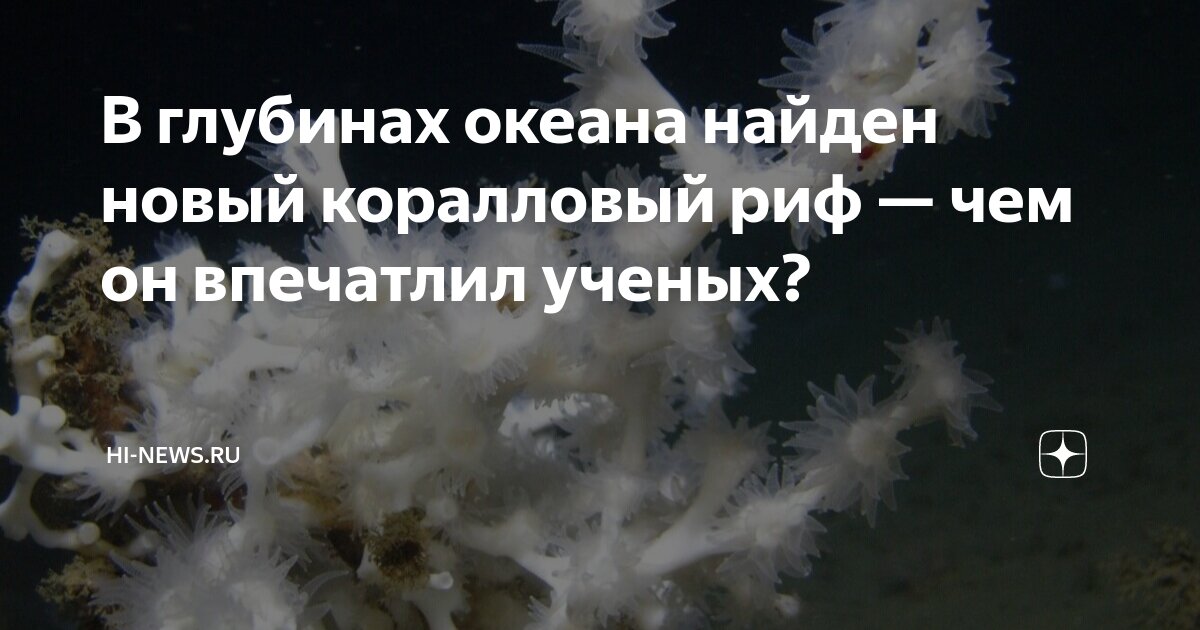 Глубина новый. Глубина новый