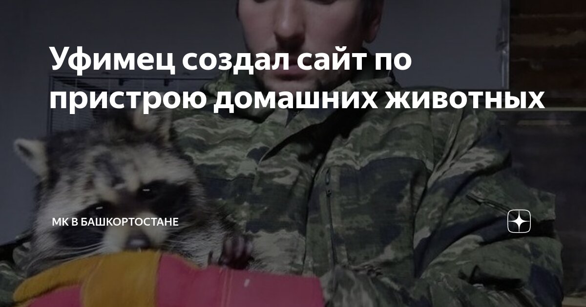 Центр реабилитации животных. Приют для животных подольск кутьино. Центр реабилитации животных. Приют для животных подольск. Црж екатеринбург.