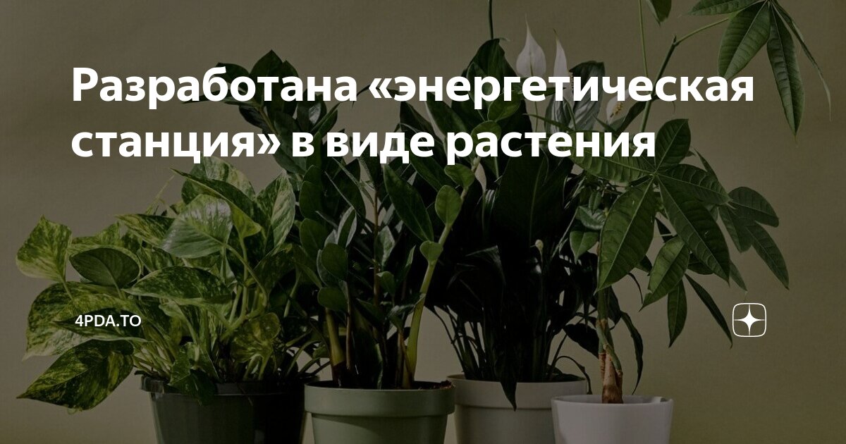 Энергетики смайлик. Эко лист. Экологическая лампочка. Энергетика листьев. Дерево лампы накаливания.