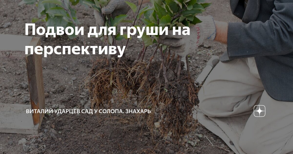 Раньше и сейчас. Чем раньше и заметно. Детство раньше и сейчас. Игра раньше и теперь. Первые коньки которые привез петр 1.