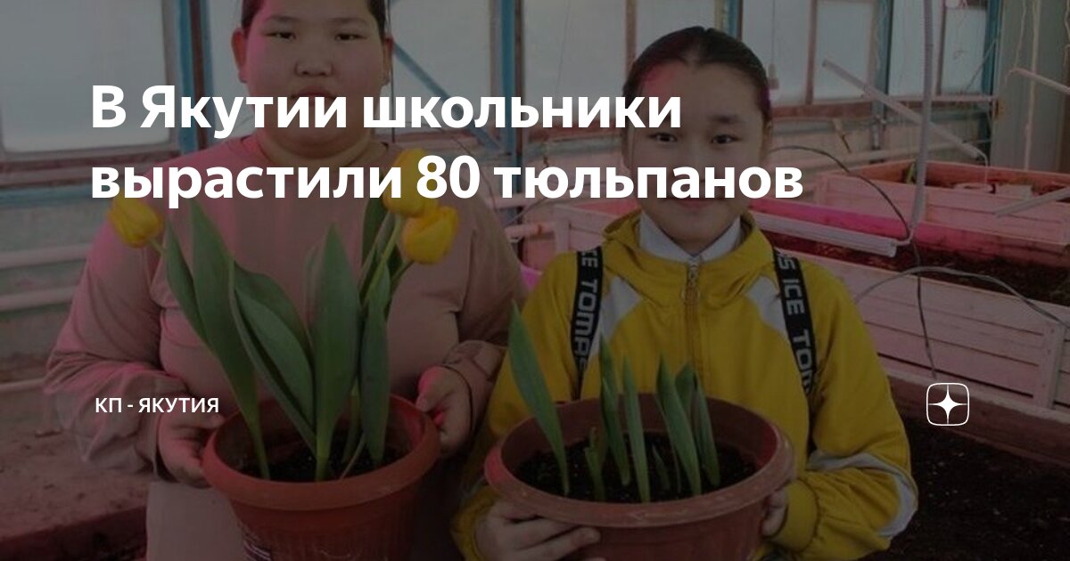 Якутия минус 80. Мороз -50 градусов видео. Якутия минус 80. Якутия минус 80. Якутия минус 80.