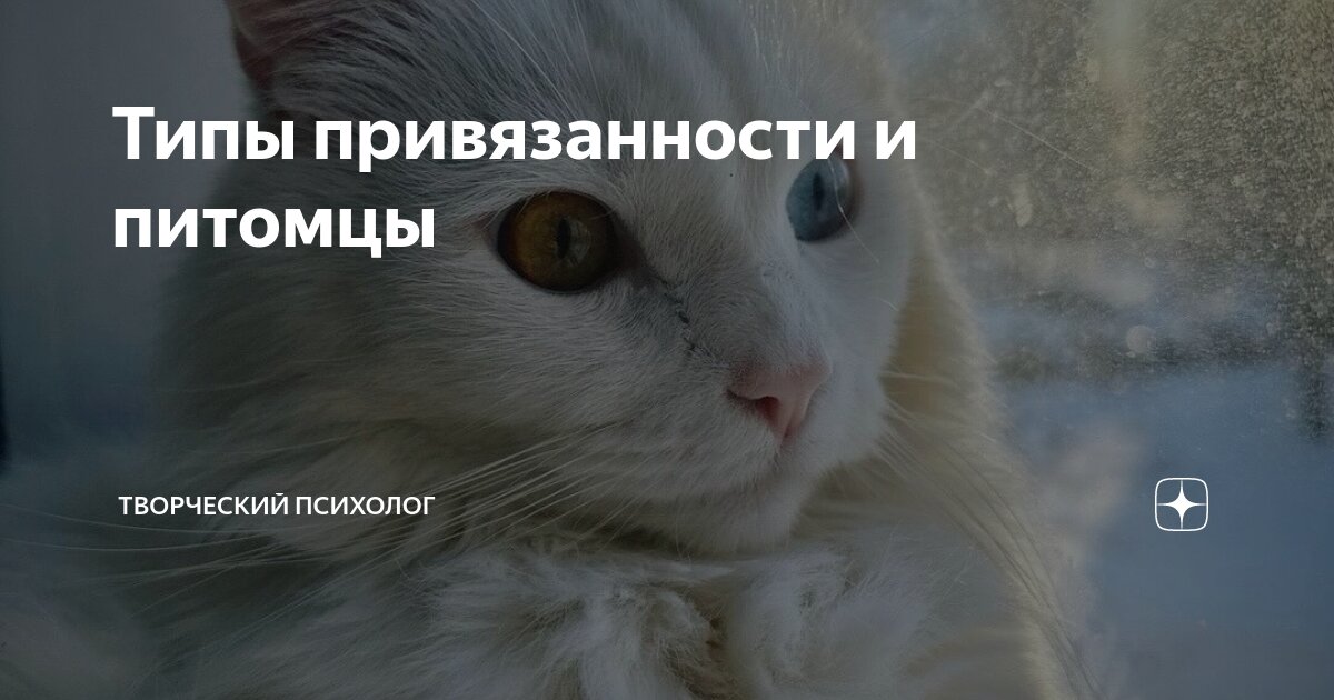 любовь расставание. простите меня стихотворение. двое в разлуке. я тебе доверяю стих. пора уходить цитаты.