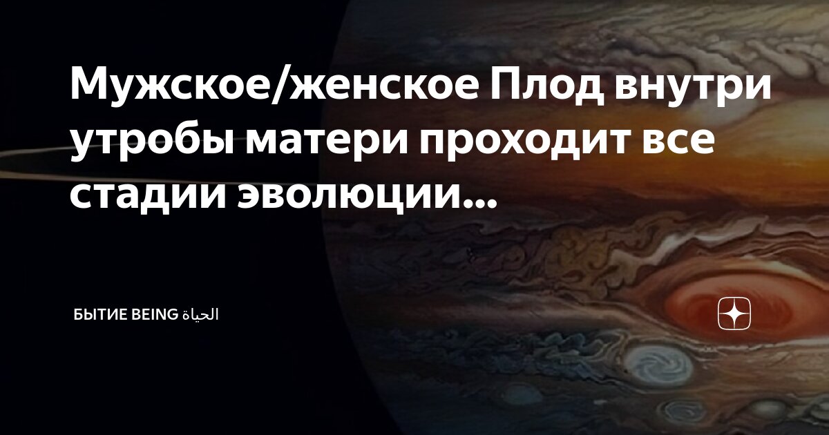начало зародышу дает. начало зародышу дает. сердце эмбриона начинает биться. зародыш биология 10. бластоциста эмбриобласт.